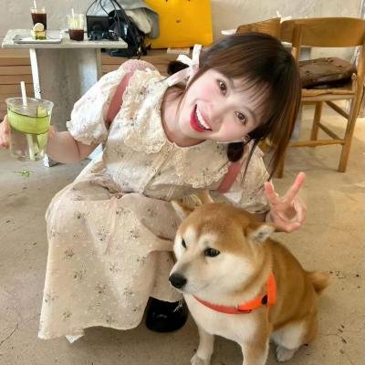 来来往往