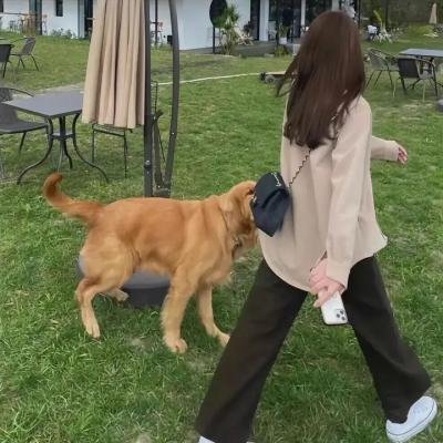 保罗大街的少年们
