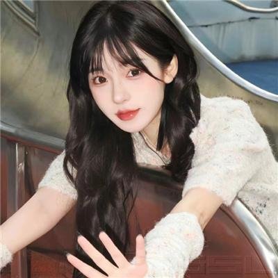 泰山锄奸记